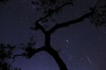 Furono le stelle