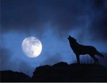 Quando la luna non c�era