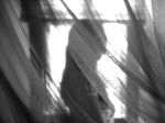 Nel nome dell'amore