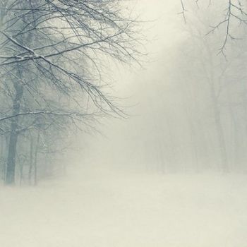 Il passo d'un inverno