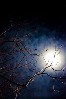 Oltre la notte