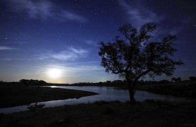 Il tuo nido di stelle