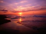I gesti dell'amore