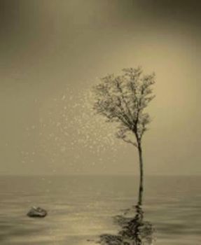Verso il fiume