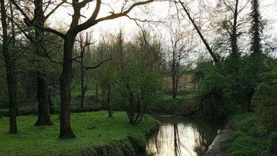 Poesie d'acqua  