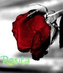Inevitabile amore