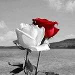 Cuore graffiato