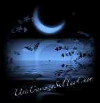 Solitarie righe