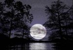 Abbraccio te luna