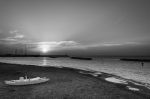 Ed � sera