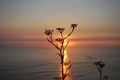Un sogno