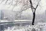 Inverno