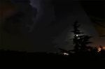 Notte