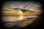 Un volo di pensieri