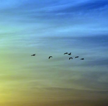 Verso la luce