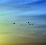 Verso la luce