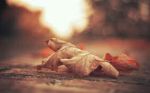 Precariet�