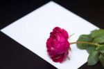Di poesia � la mia vita