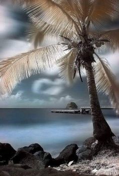 �l parlar di te