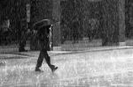 �O pata pata � ll�acqua