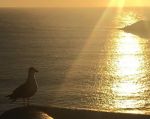Un raggio di sole m�aspetta