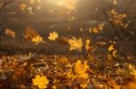 E� del vento