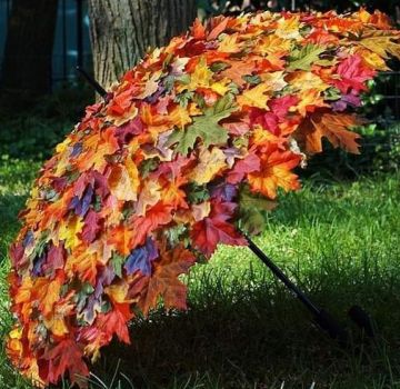 Nelle tasche dell�autunno