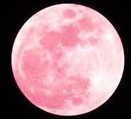 Luna d� estate