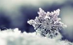 Di freddo � il gelo
