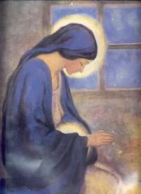 Immacolata Concezione