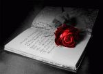 ''La pi� bella poesia d'amore''