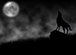 ''Le ombre della notte''