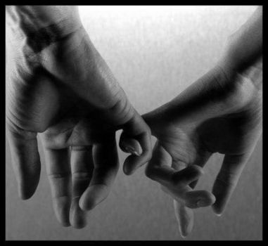 ''Insieme''