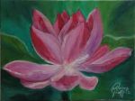 ''Fiore di Loto''