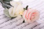 Le dolci note dell�amore