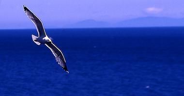 Aspettando l�Alba