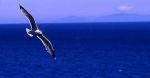Aspettando l�Alba