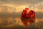 Sogno d�Estate