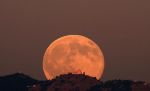 Notte di luna