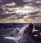 Sera fragile