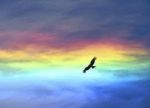 Preziosissima luce
