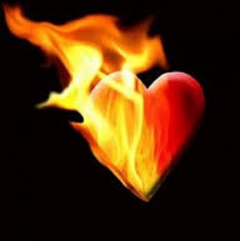 Senza cuore non c'� vita