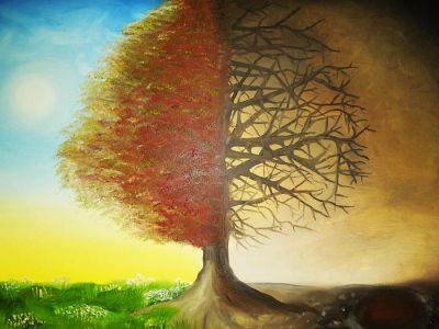 L� albero