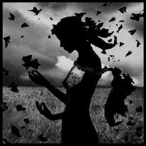 Notte ladra