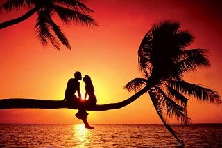 Amando... noi
