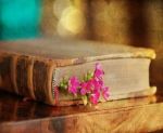 Mi consola l�amore