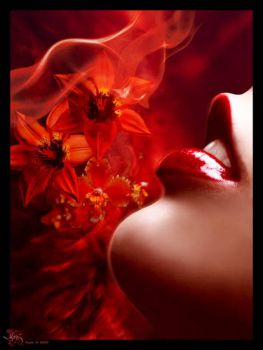 E il resto � amore: Amore!