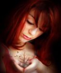 Prover�