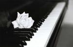 Musica