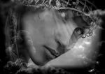 Aldil�